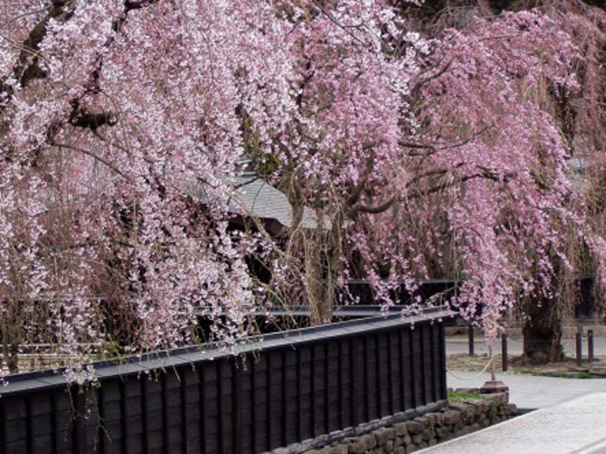 Tamachi Bukeyashiki Hotel - Vacation Stay 20163V 다이센 외부 사진