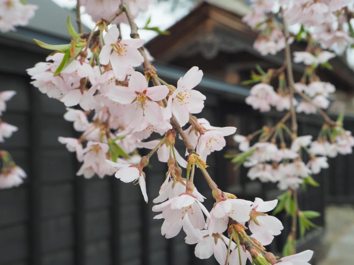 Tamachi Bukeyashiki Hotel - Vacation Stay 20163V 다이센 외부 사진
